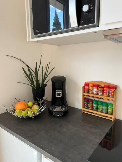 Apartment With Balcony Near Disneyland. Esbly 외부 사진